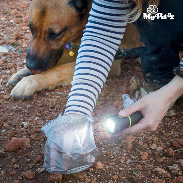 MyPet Poop Lantern Kakkapussiteline ja Taskulamppu